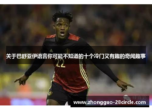 关于巴舒亚伊语言你可能不知道的十个冷门又有趣的奇闻趣事 关于巴舒亚伊语言你可能不知道的十个冷门又有趣的奇闻趣事