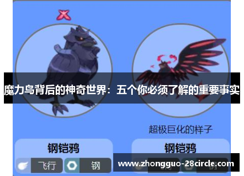 魔力鸟背后的神奇世界:五个你必须了解的重要事实 魔力鸟背后的神奇世界:五个你必须了解的重要事实